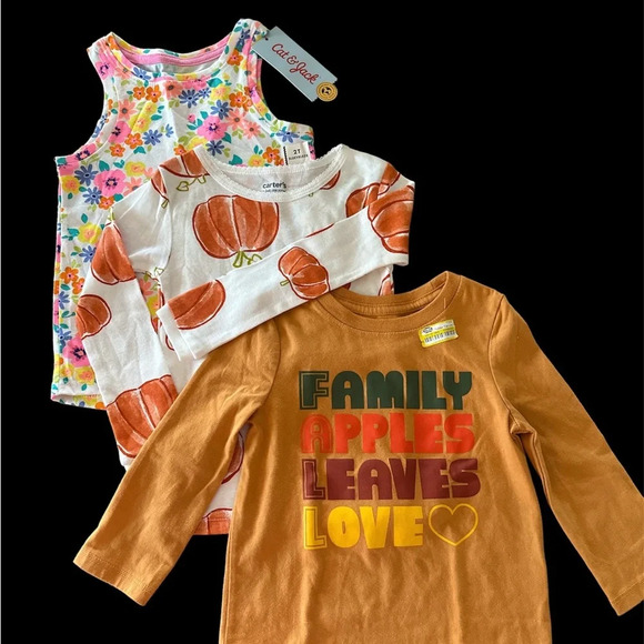 Cat & Jack Bundle 3 Girls Short & Long Sleeves Tops Size 2 BNWT - Picture 3 of 3